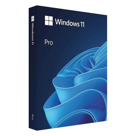 Microsoft Windows 11 Professionnel